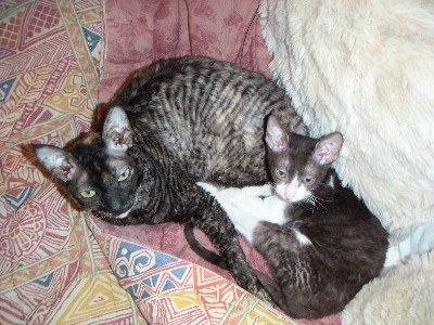 Gribouille & Praline